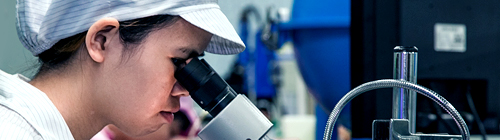 專家團(tuán)隊(duì) 專家團(tuán)隊(duì)